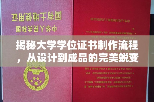 桃源揭秘大学学位证书制作流程，从设计到成品的完美蜕变